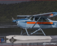 TSR Watermark - 0200